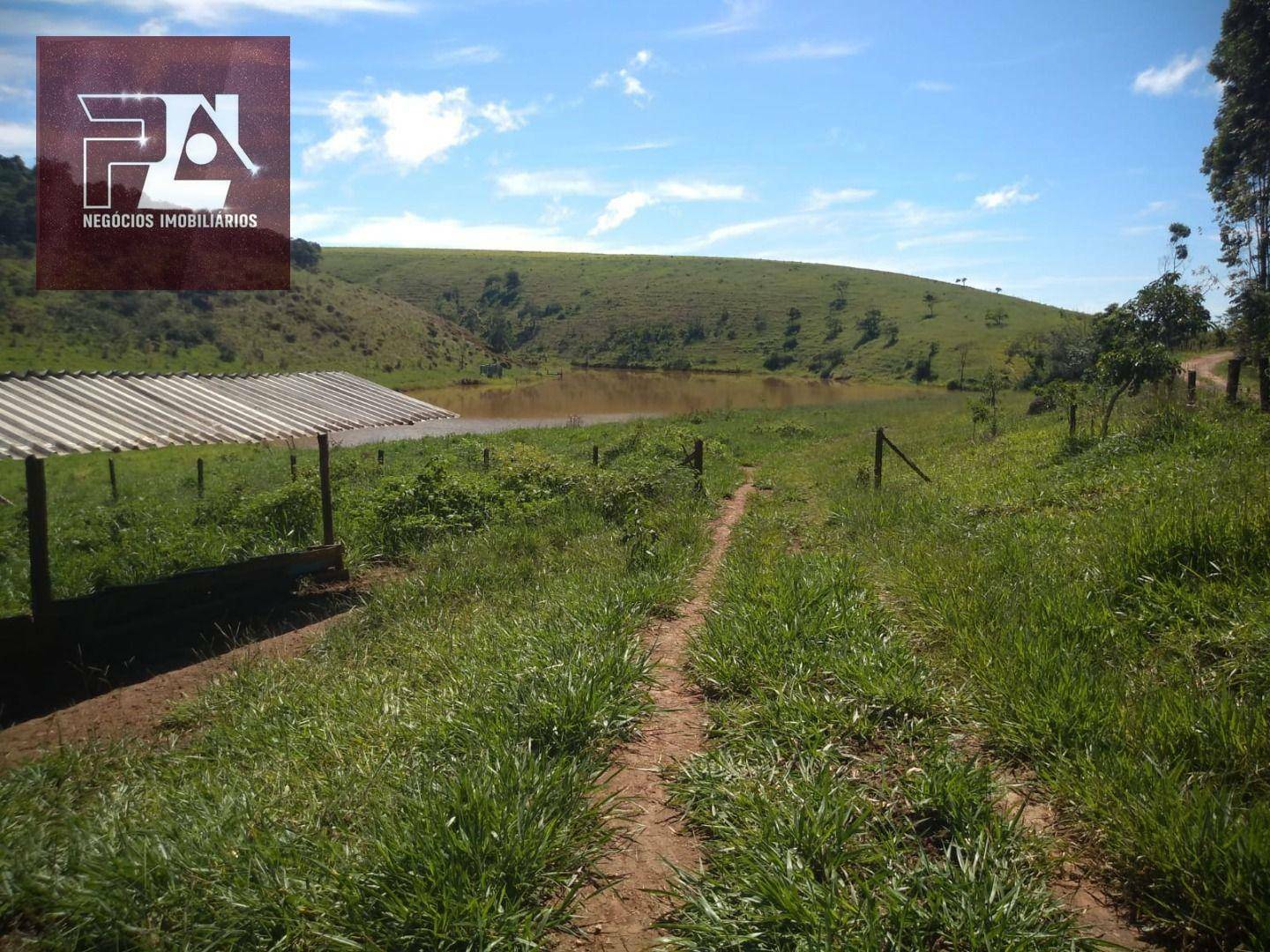 Fazenda à venda com 4 quartos, 1452000M2 - Foto 48