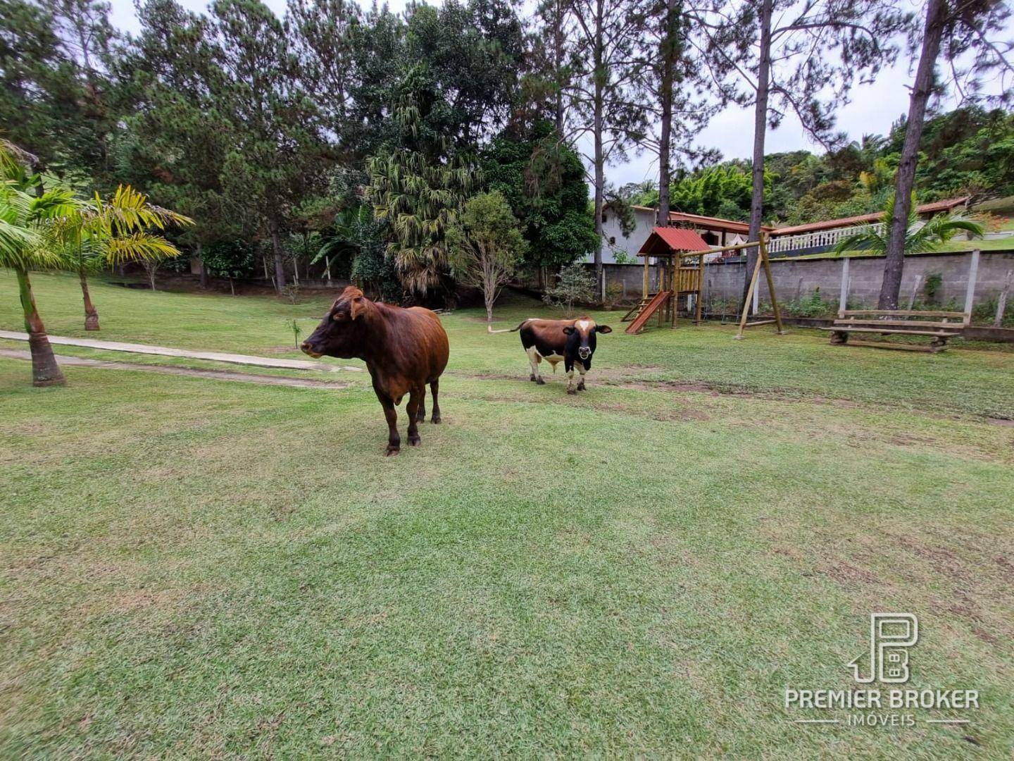 Sítio à venda com 3 quartos, 200m² - Foto 64