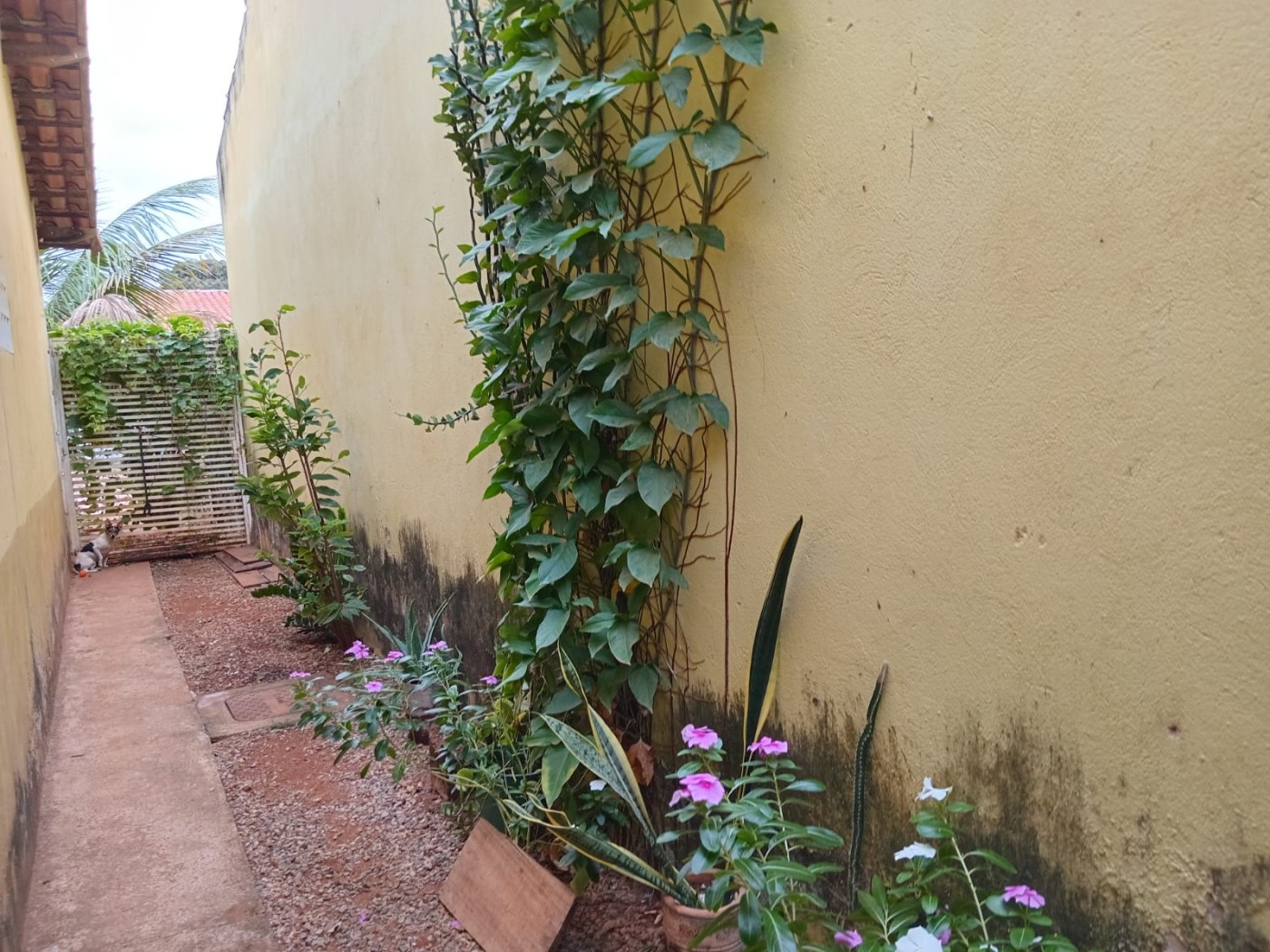 Casa de Condomínio, 2 quartos - Foto 1