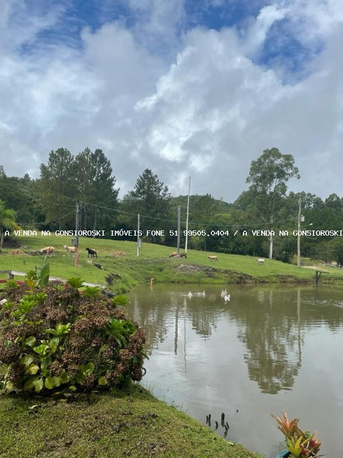 Fazenda à venda com 4 quartos, 130000m² - Foto 33