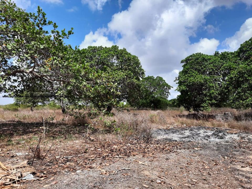 Fazenda à venda com 2 quartos, 14m² - Foto 13