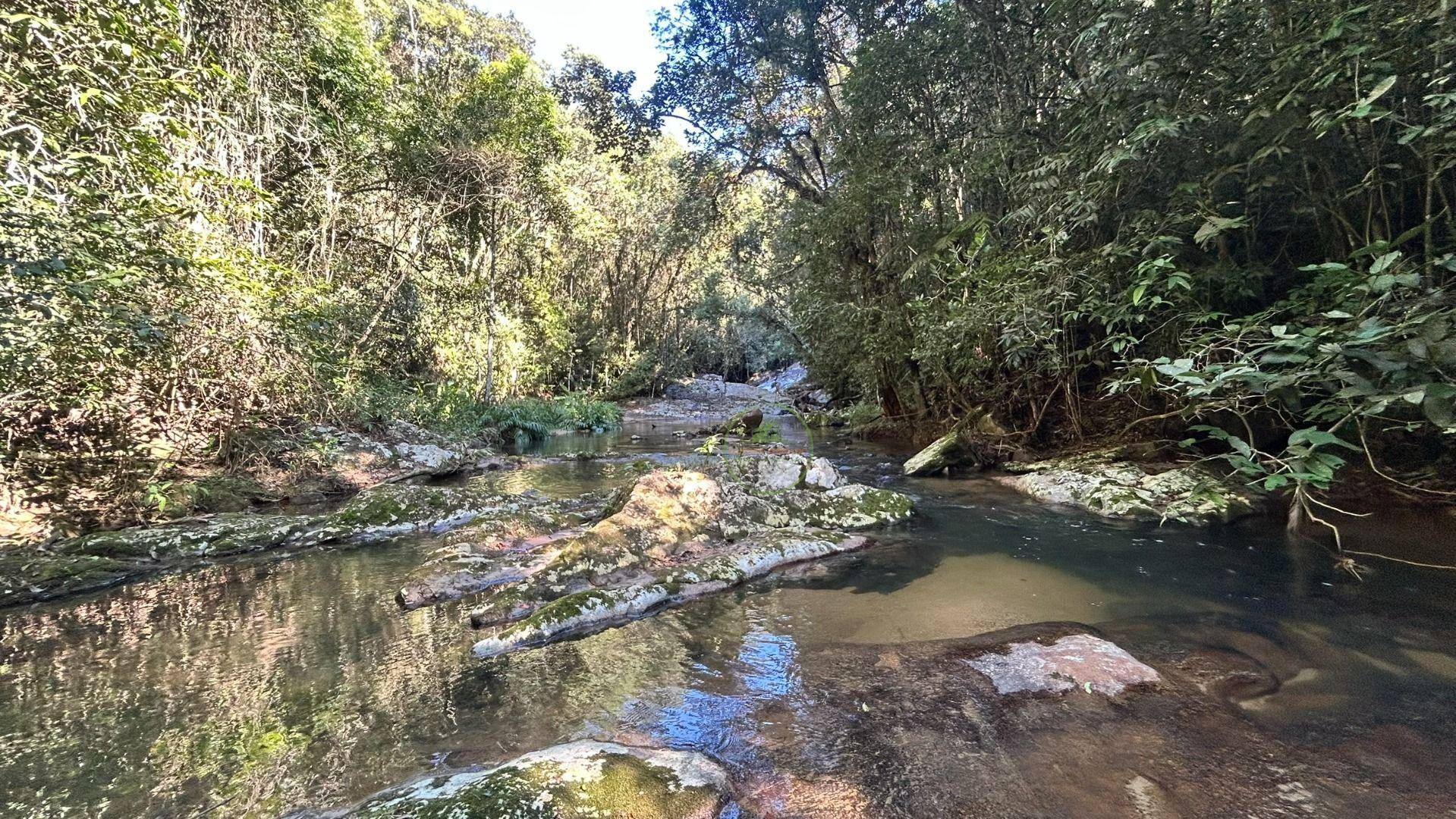 Sítio, 19 hectares - Foto 49