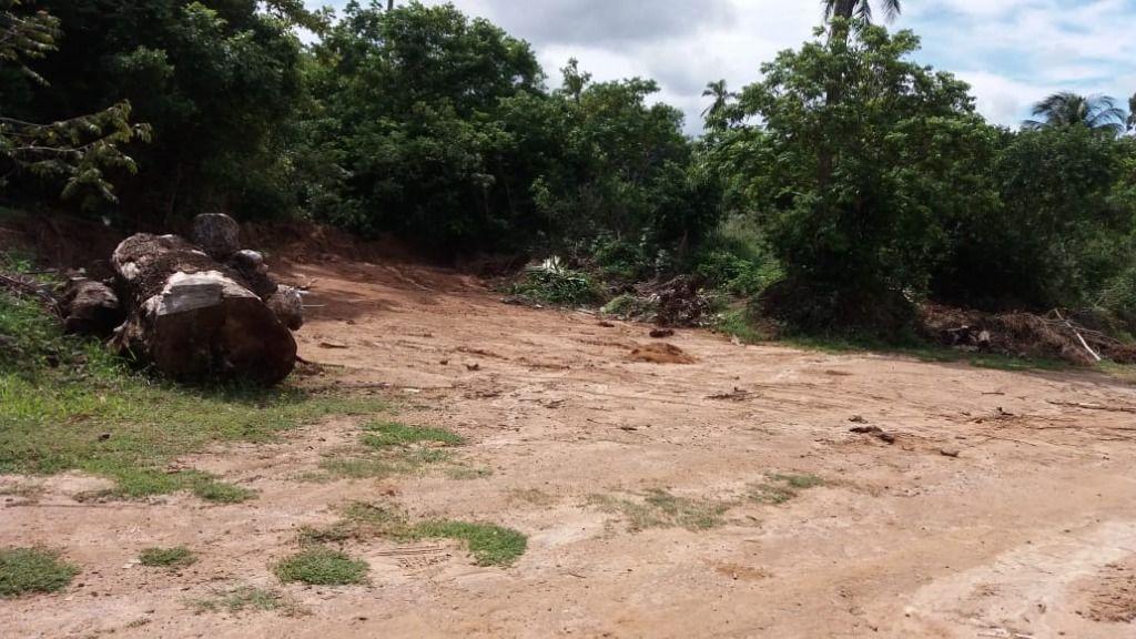 Terreno à venda, 1000m² - Foto 4