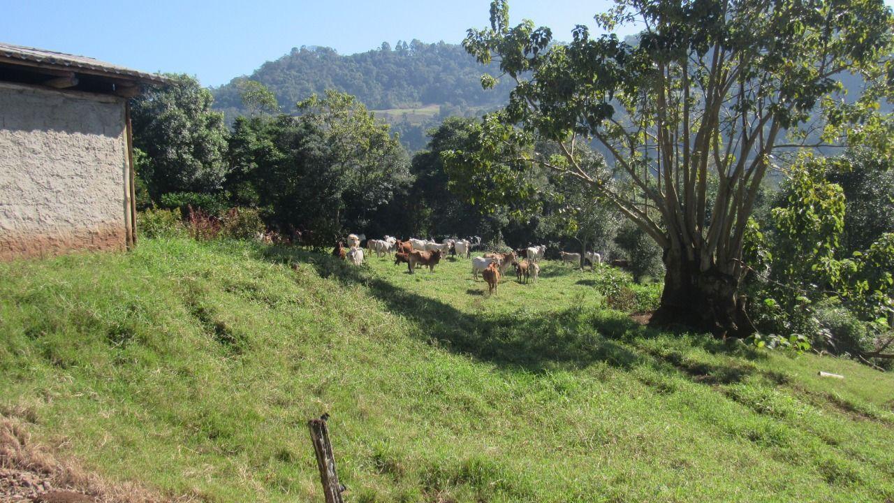 Loteamento e Condomínio à venda, 30000m² - Foto 10