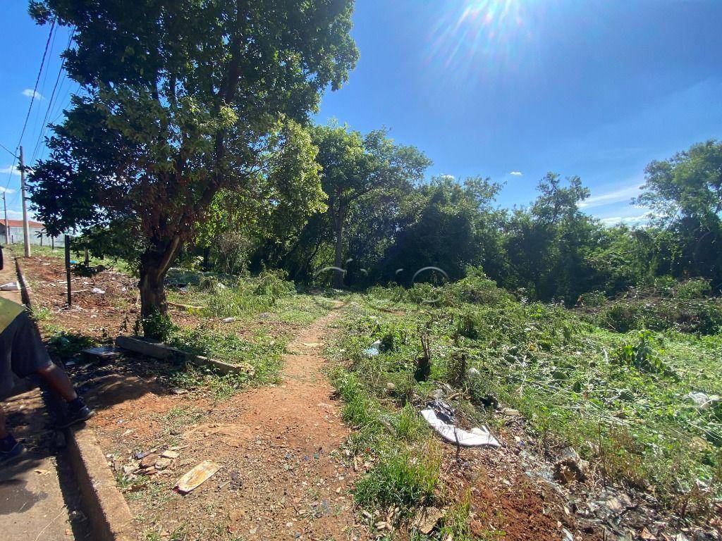 Terreno, 2607 m² - Foto 2