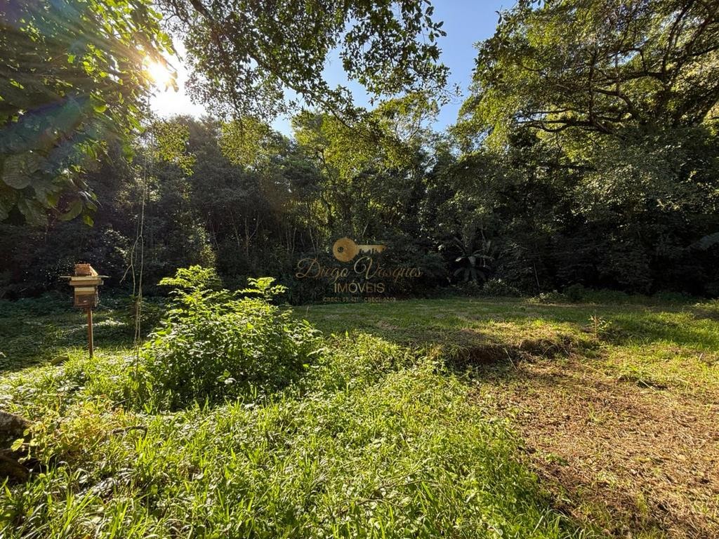 Sítio à venda com 26 quartos, 120000m² - Foto 15