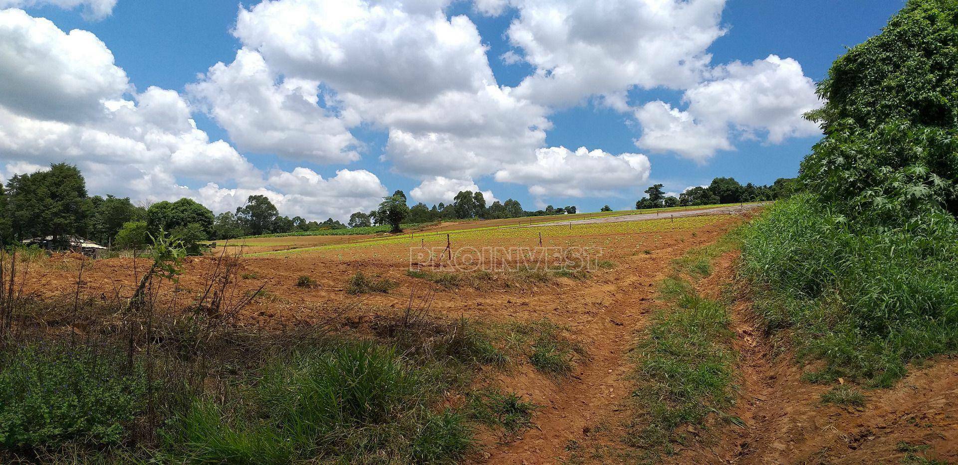 Terreno à venda, 822000M2 - Foto 15