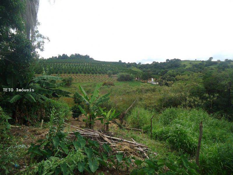 Fazenda à venda com 2 quartos, 3106m² - Foto 1