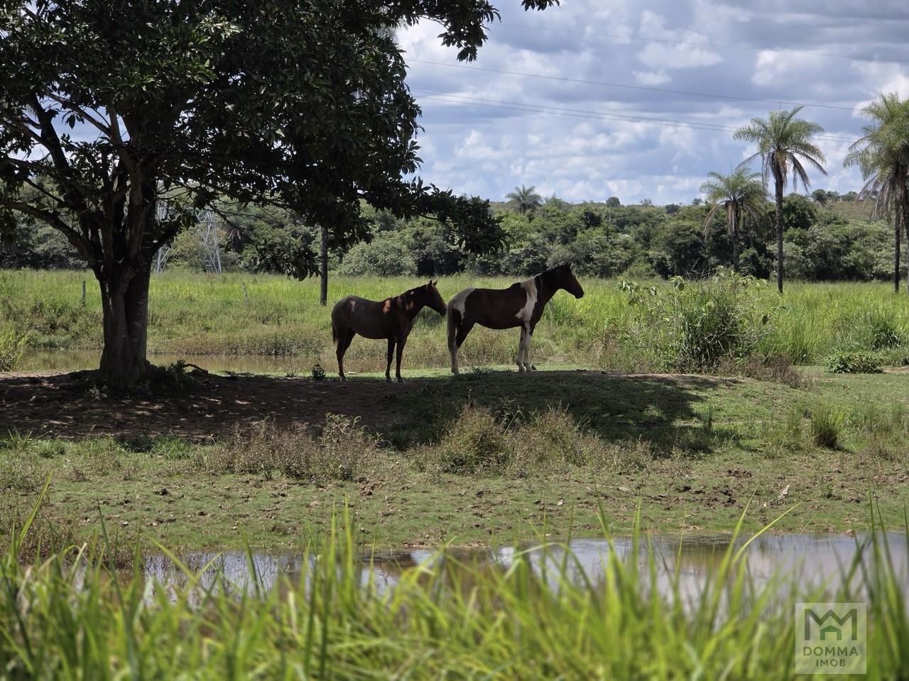 Chácara, 3 quartos, 10 m² - Foto 1