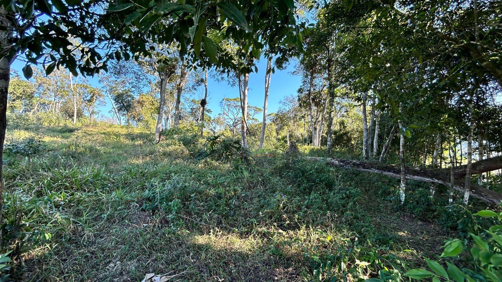 Terreno, 27 hectares - Foto 10