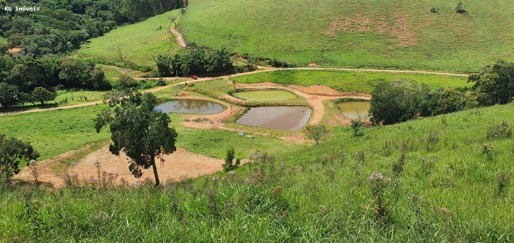Chácara à venda, 121000m² - Foto 6