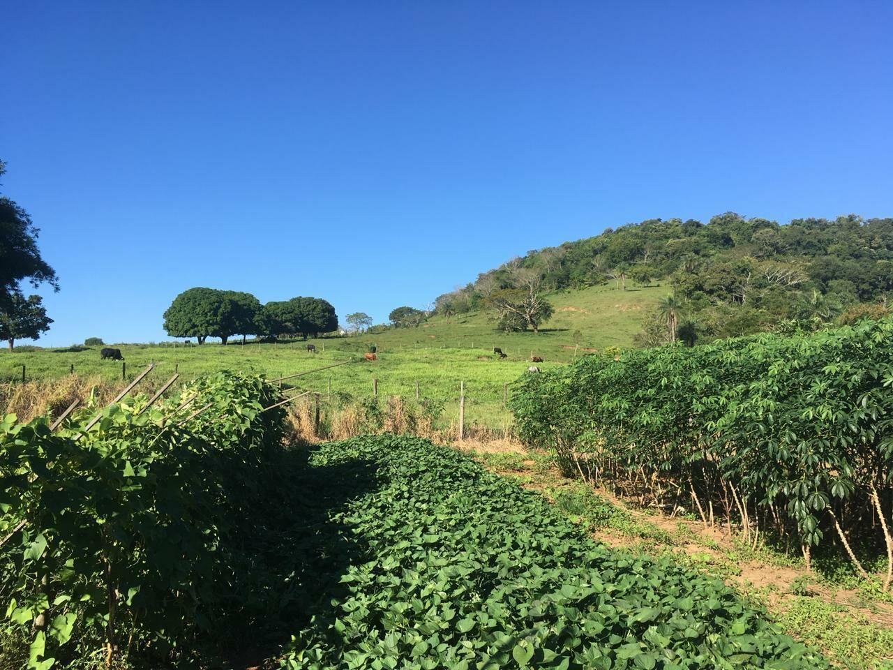 Loteamento e Condomínio à venda - Foto 7