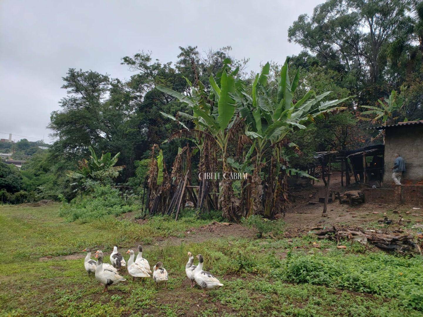 Terreno à venda, 20000M2 - Foto 2