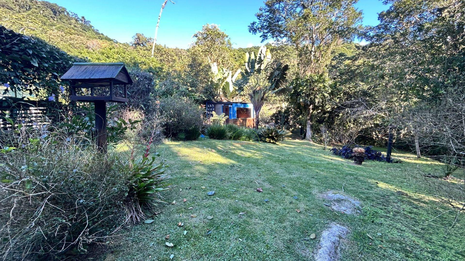 Sítio, 14 hectares - Foto 17