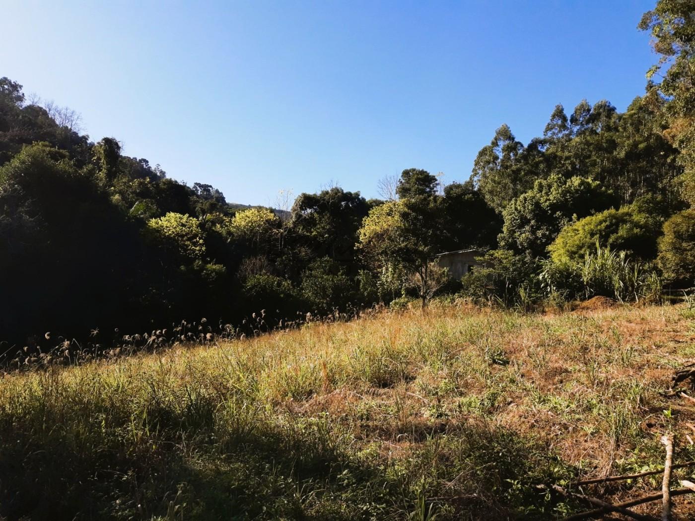 Chácara à venda, 1m² - Foto 5