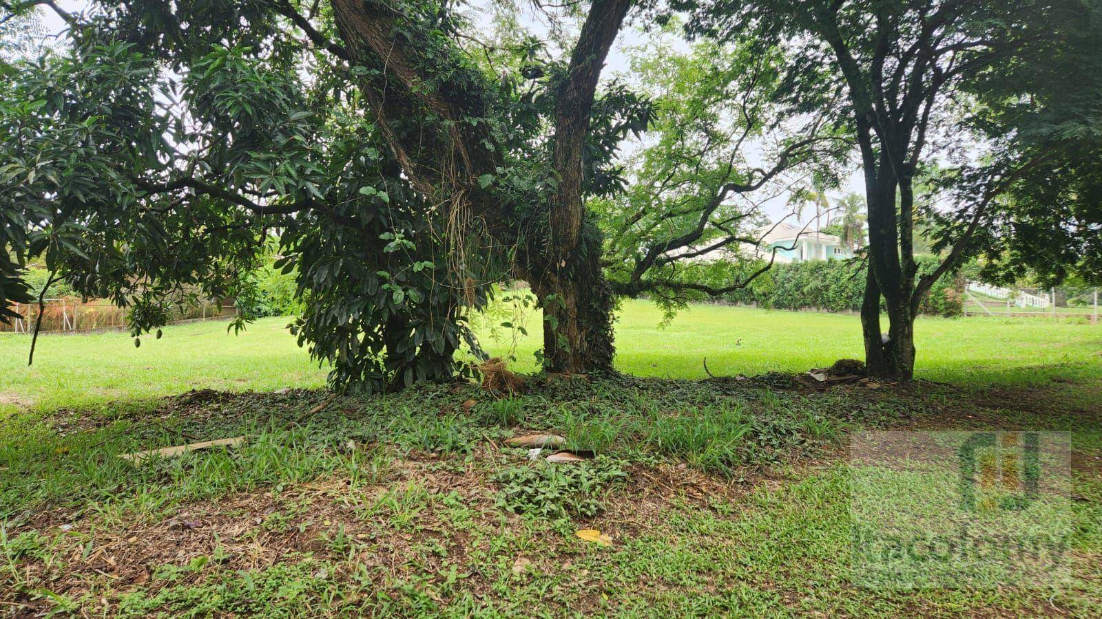 Loteamento e Condomínio, 3070 m² - Foto 5