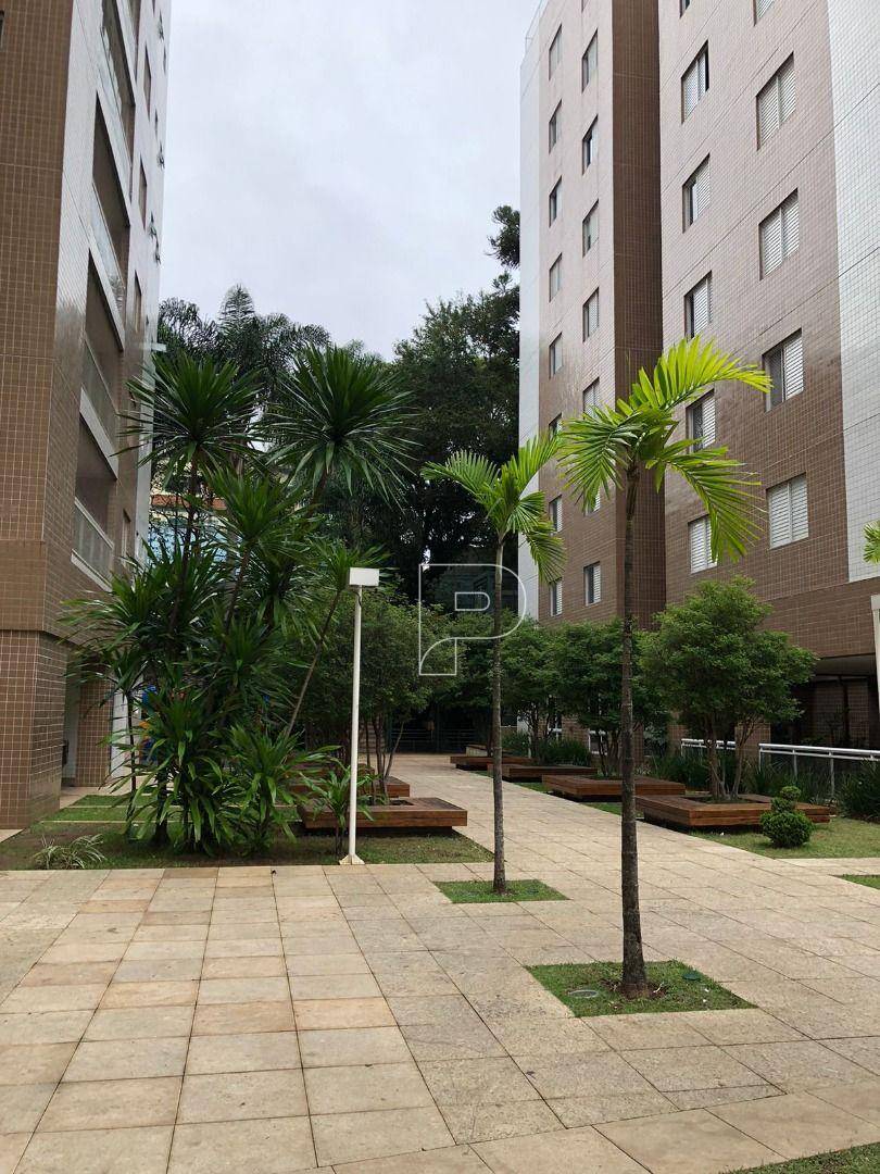 Apartamento à venda e aluguel com 3 quartos, 233m² - Foto 59