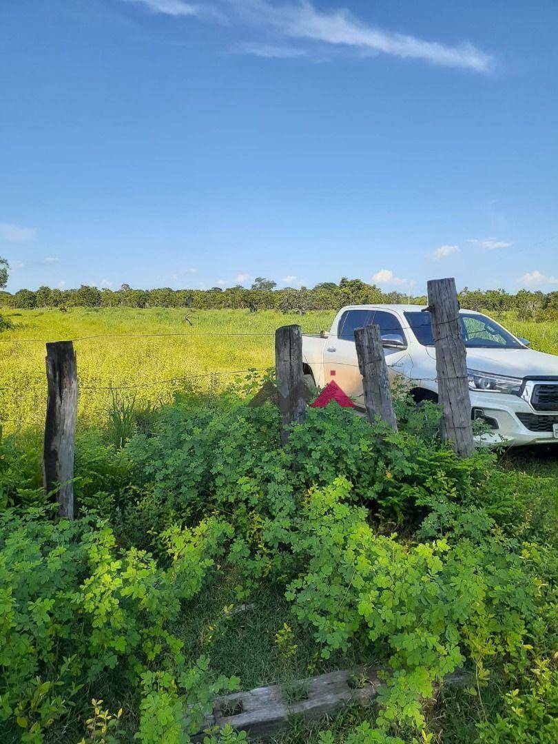 Fazenda à venda com 1 quarto, 43463200M2 - Foto 6