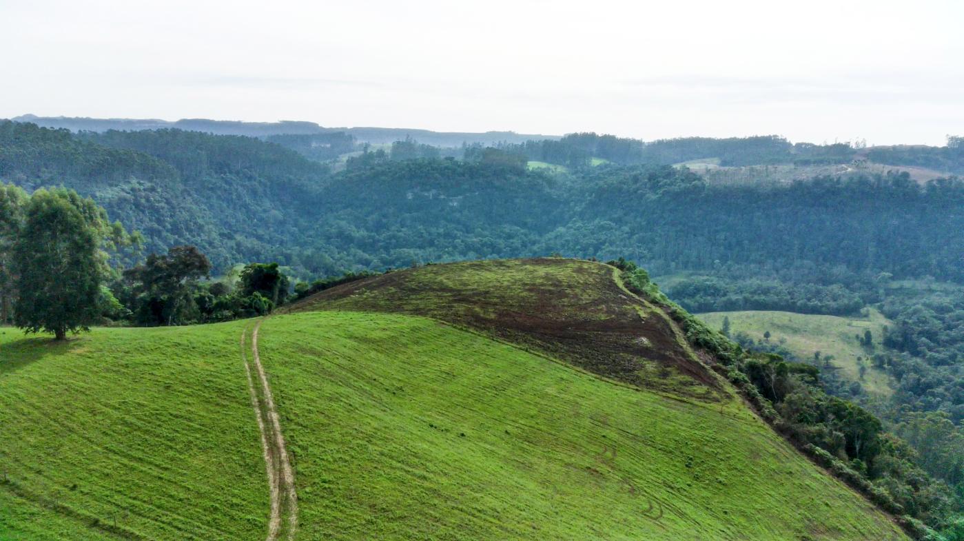 Fazenda à venda com 3 quartos, 205000m² - Foto 37