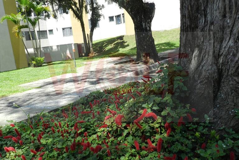 Apartamento, 3 quartos, 52 m² - Foto 35