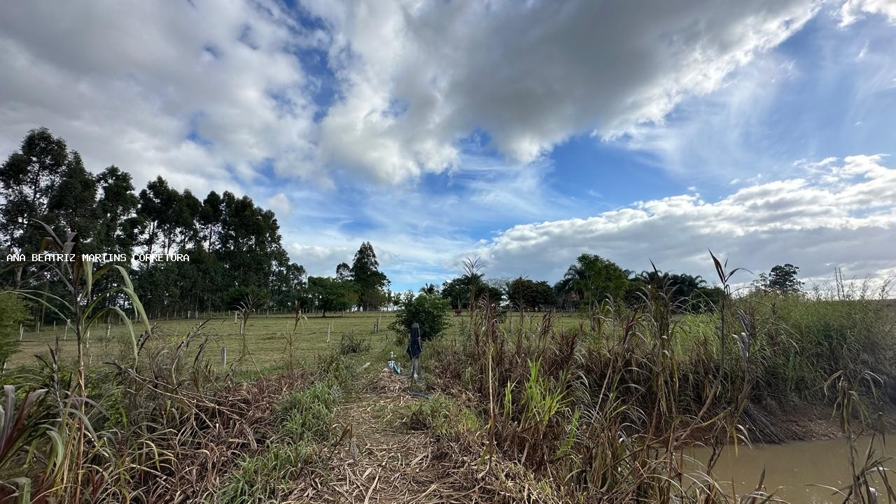 Sítio à venda com 2 quartos, 30000m² - Foto 34