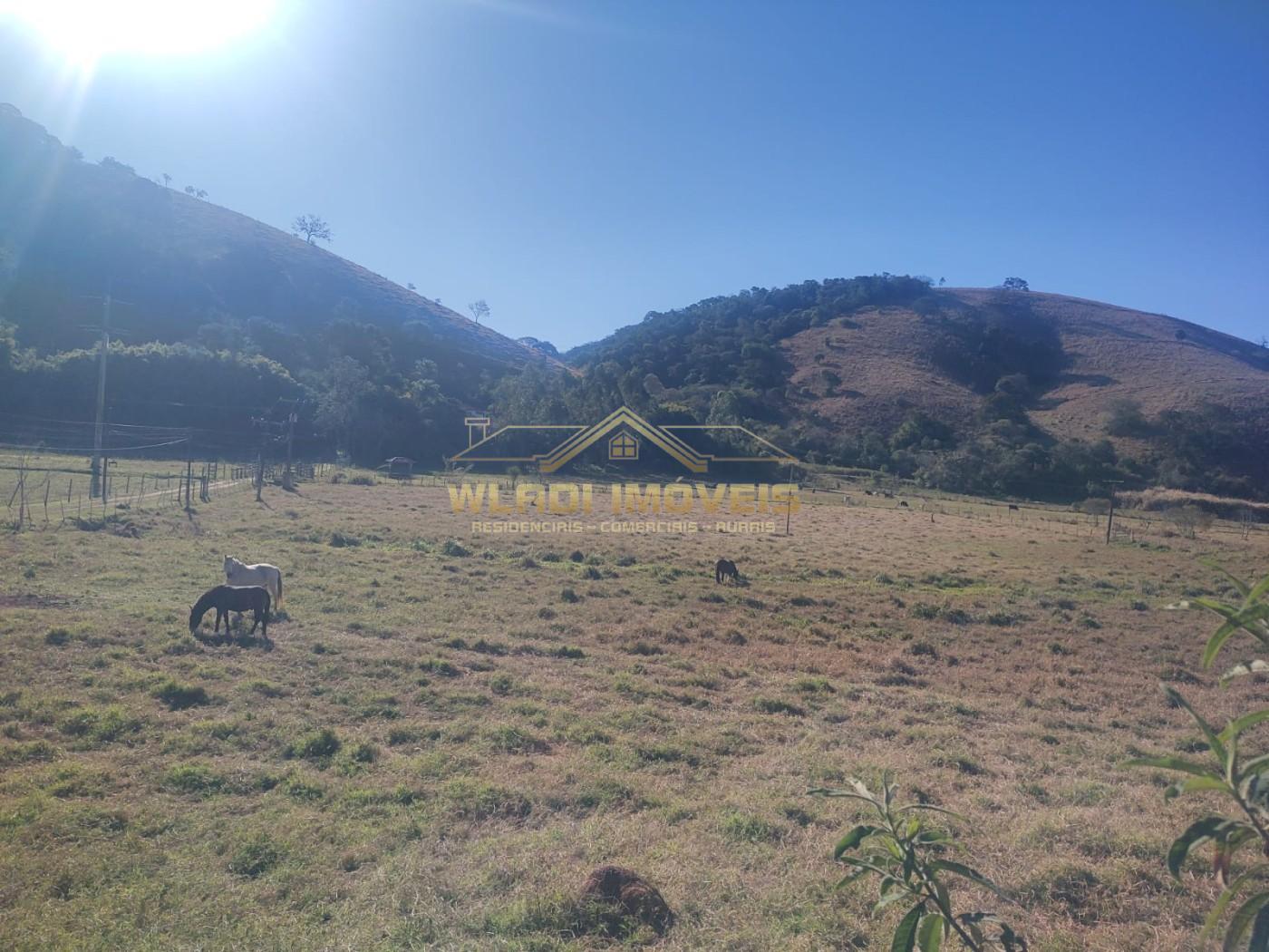 Sítio à venda, 4m² - Foto 25