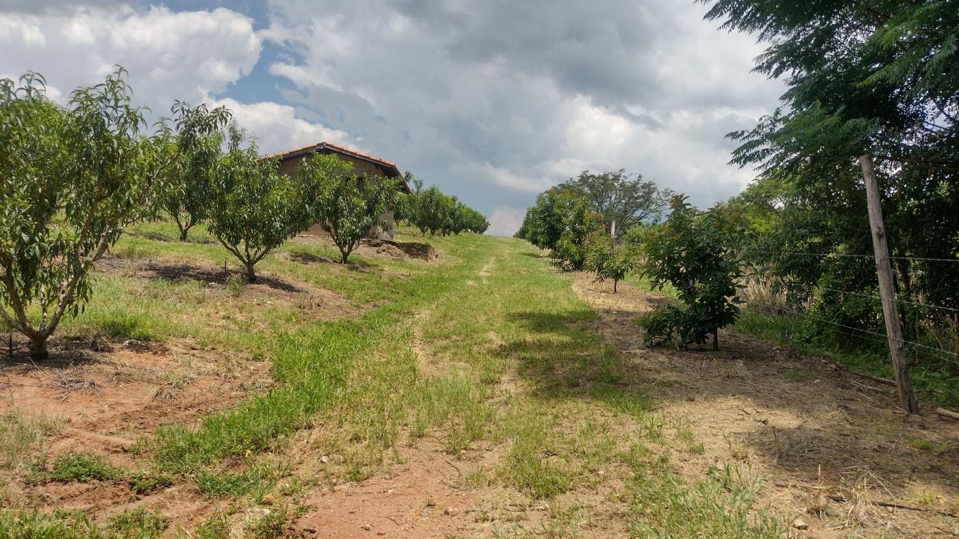 Fazenda à venda, 50000m² - Foto 33