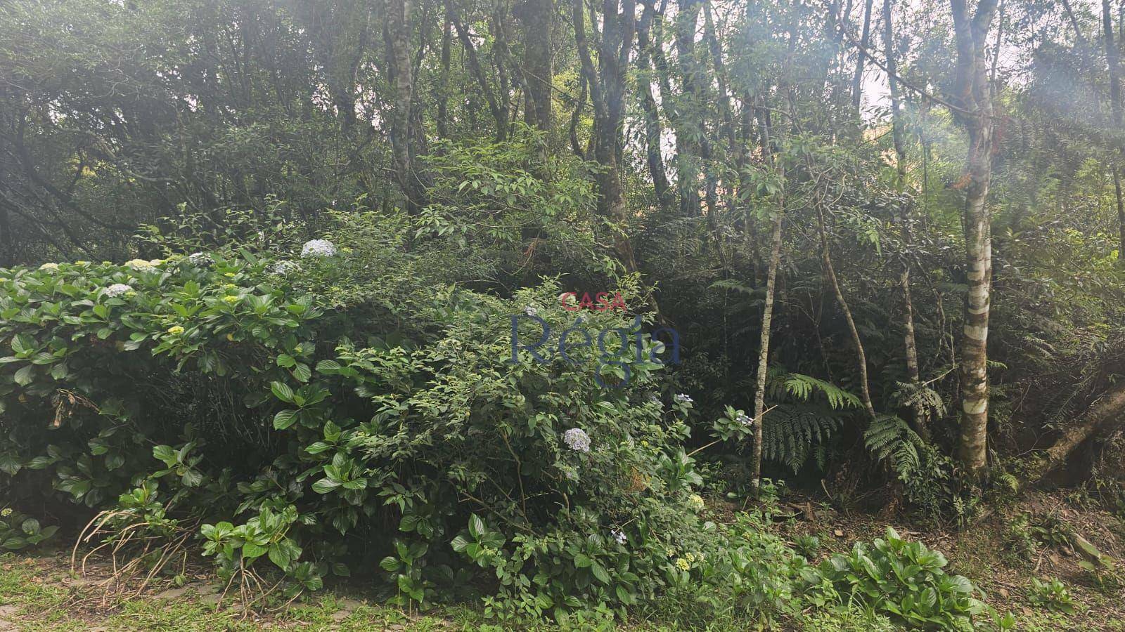 Loteamento e Condomínio à venda, 4210M2 - Foto 2