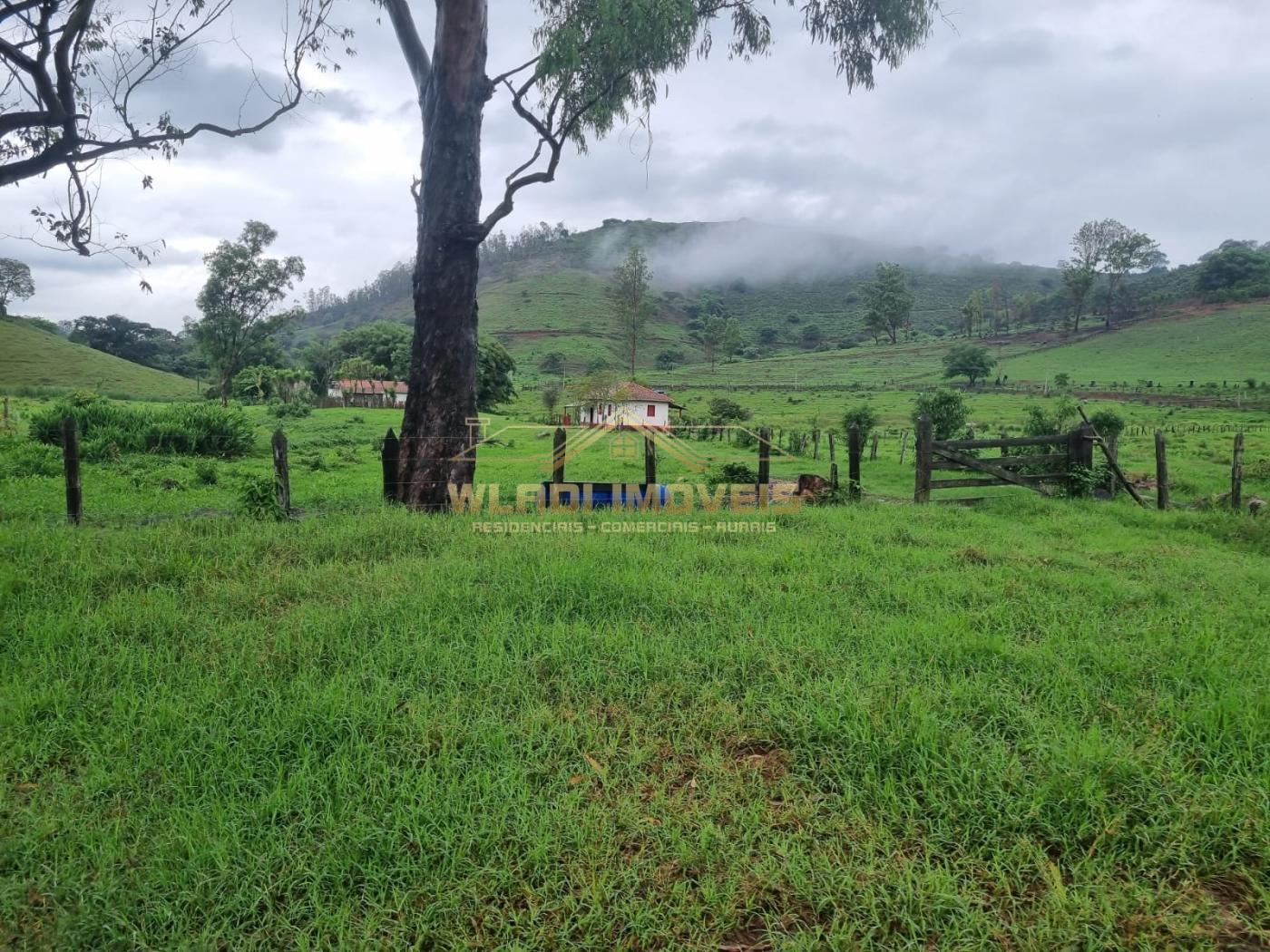 Fazenda à venda, 100m² - Foto 36