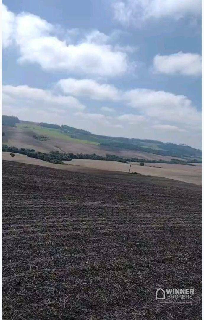 Fazenda à venda com 3 quartos, 3920000M2 - Foto 5