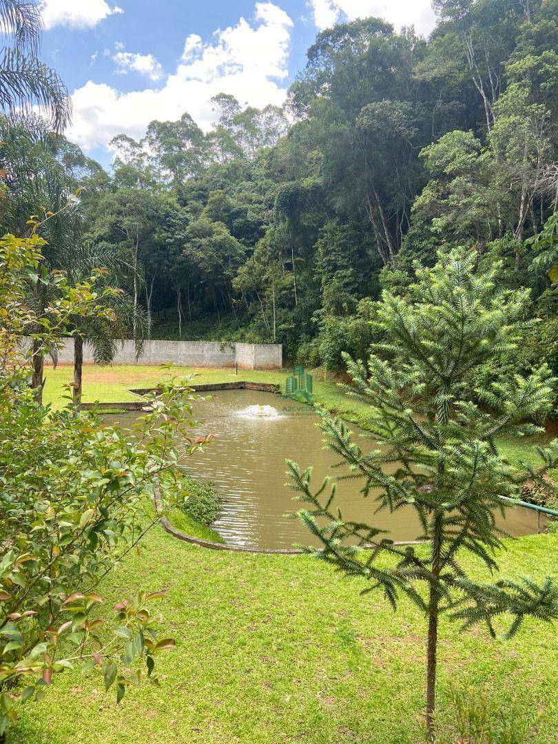 Chácara à venda com 3 quartos, 3000M2 - Foto 23