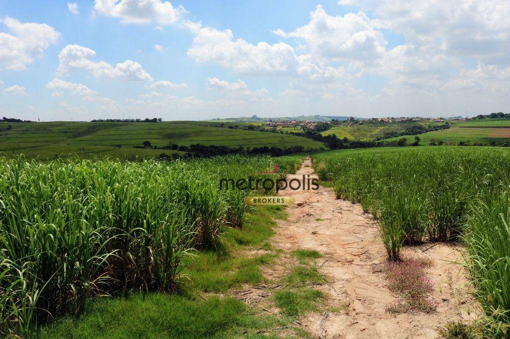 Terreno à venda, 124520M2 - Foto 13