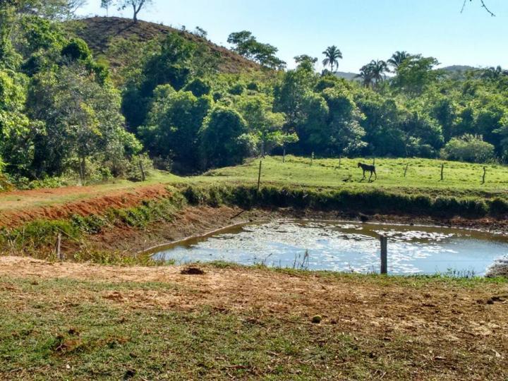 Chácara à venda - Foto 3