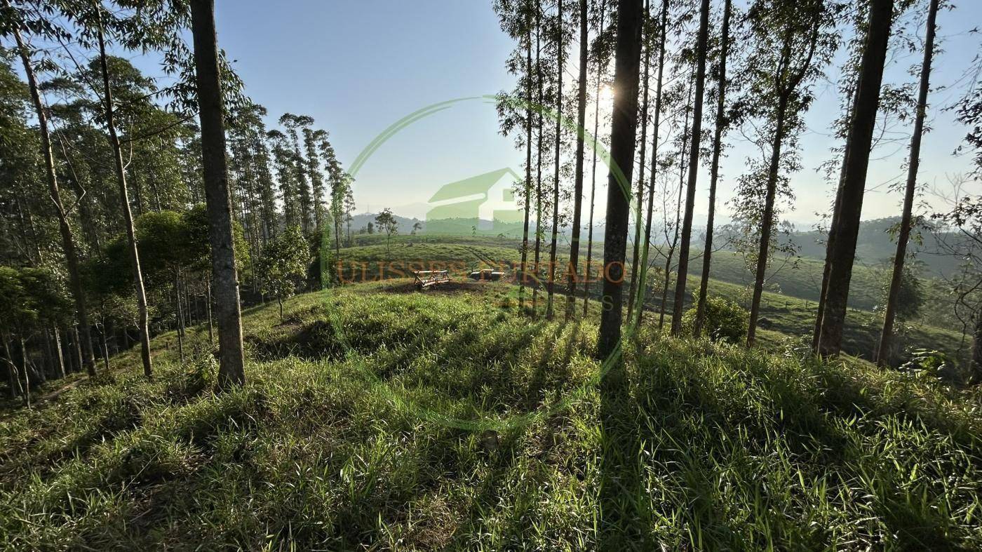 Fazenda, 507 m² - Foto 29