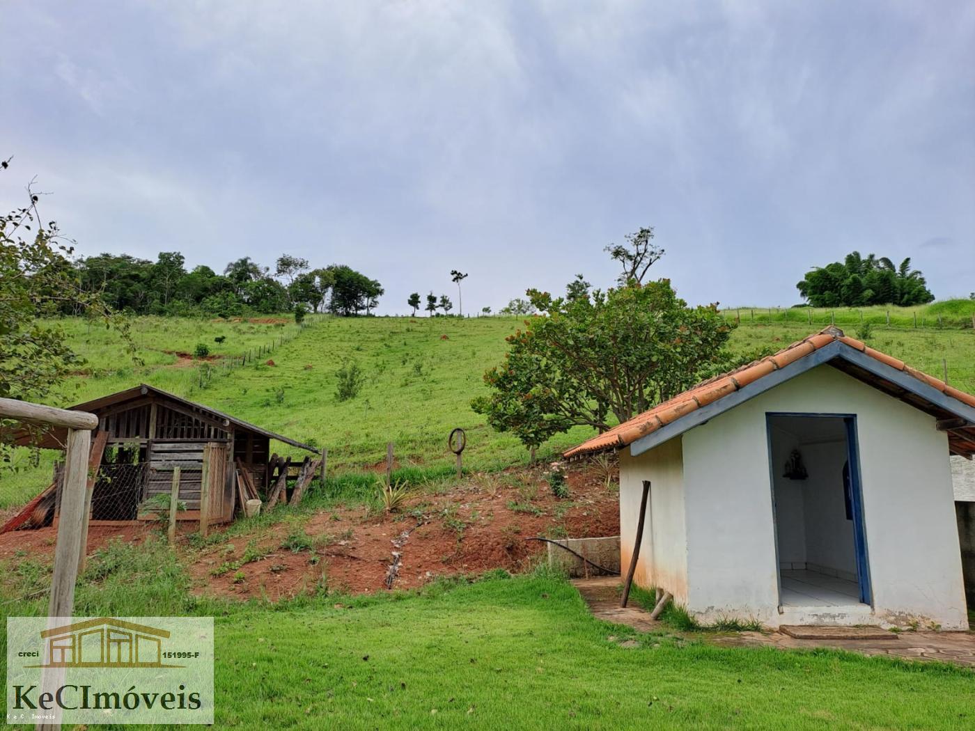 Fazenda à venda com 3 quartos, 12000m² - Foto 15