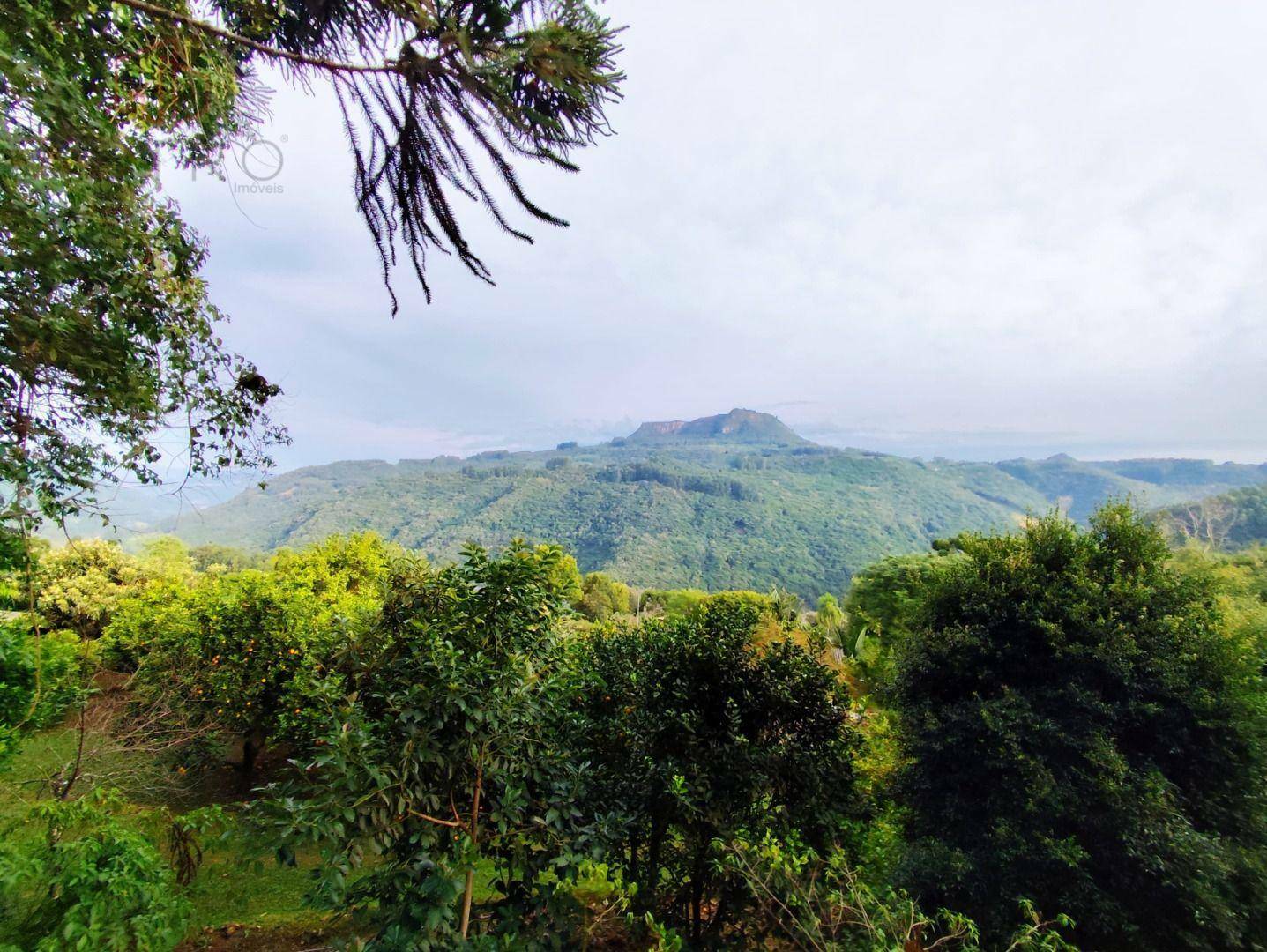 Terreno à venda, 1300M2 - Foto 1