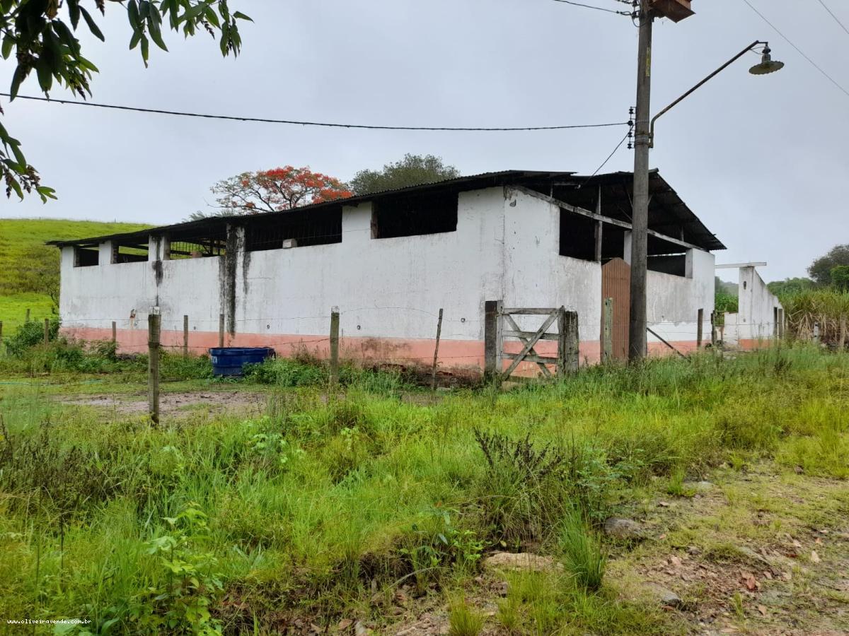 Fazenda à venda com 2 quartos, 61000m² - Foto 5