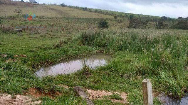 Fazenda à venda com 2 quartos, 1984400m² - Foto 21