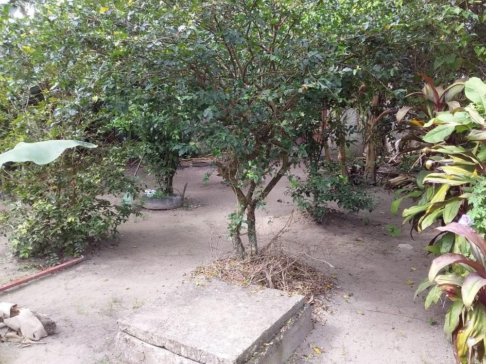 Casa à venda com 2 quartos, 200m² - Foto 9