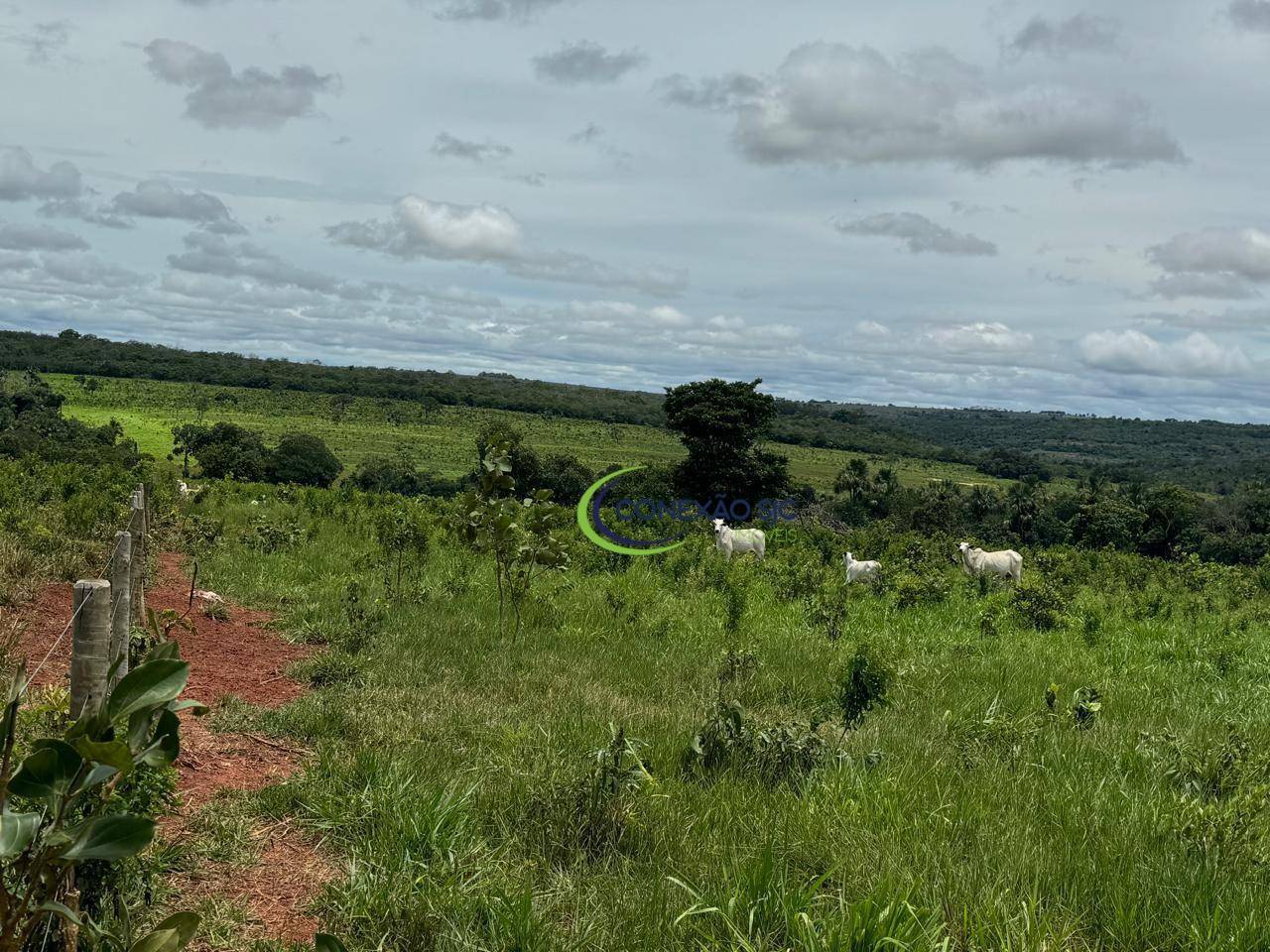 Fazenda à venda com 3 quartos, 19360000M2 - Foto 12