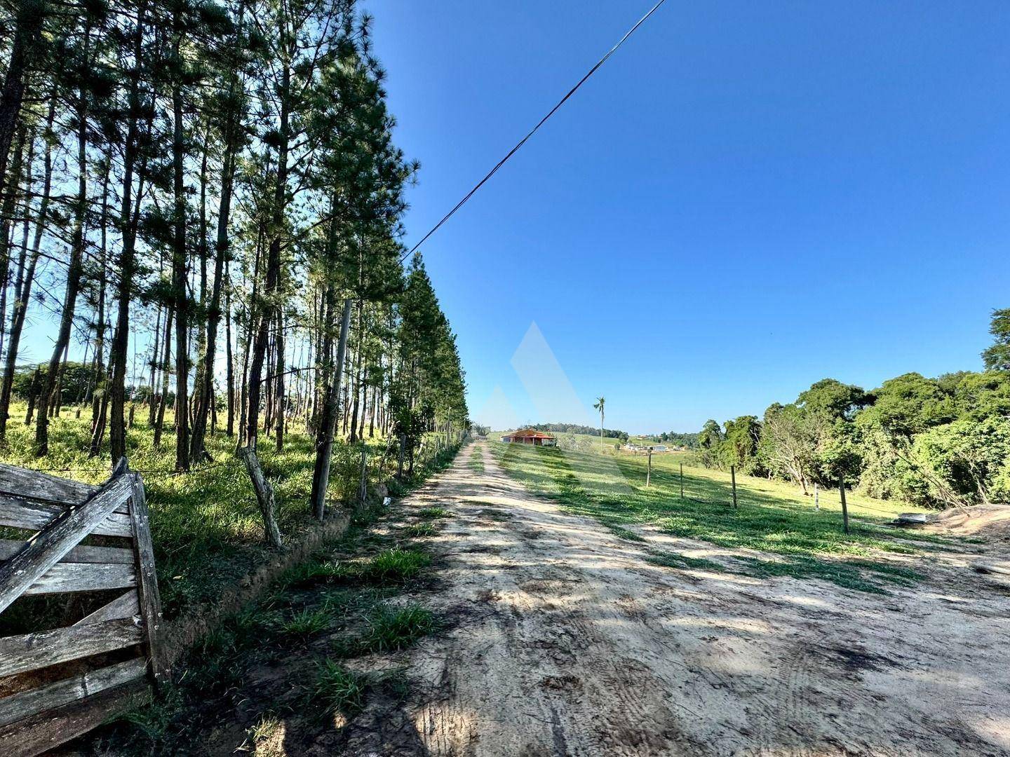 Sítio, 16 hectares - Foto 3