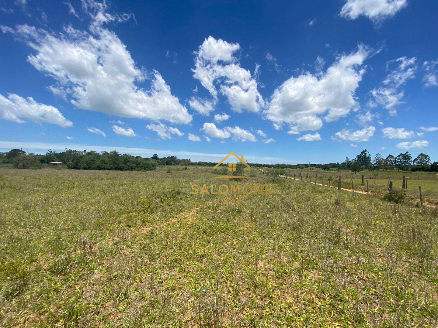 Sítio, 2 hectares - Foto 6