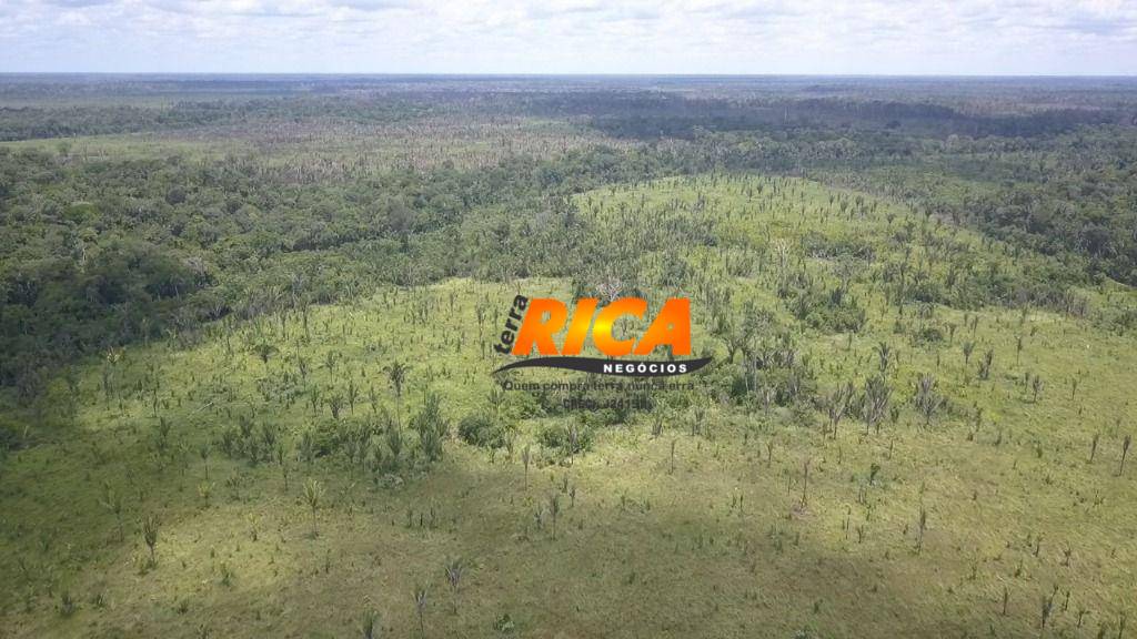 Fazenda, 300 hectares - Foto 10