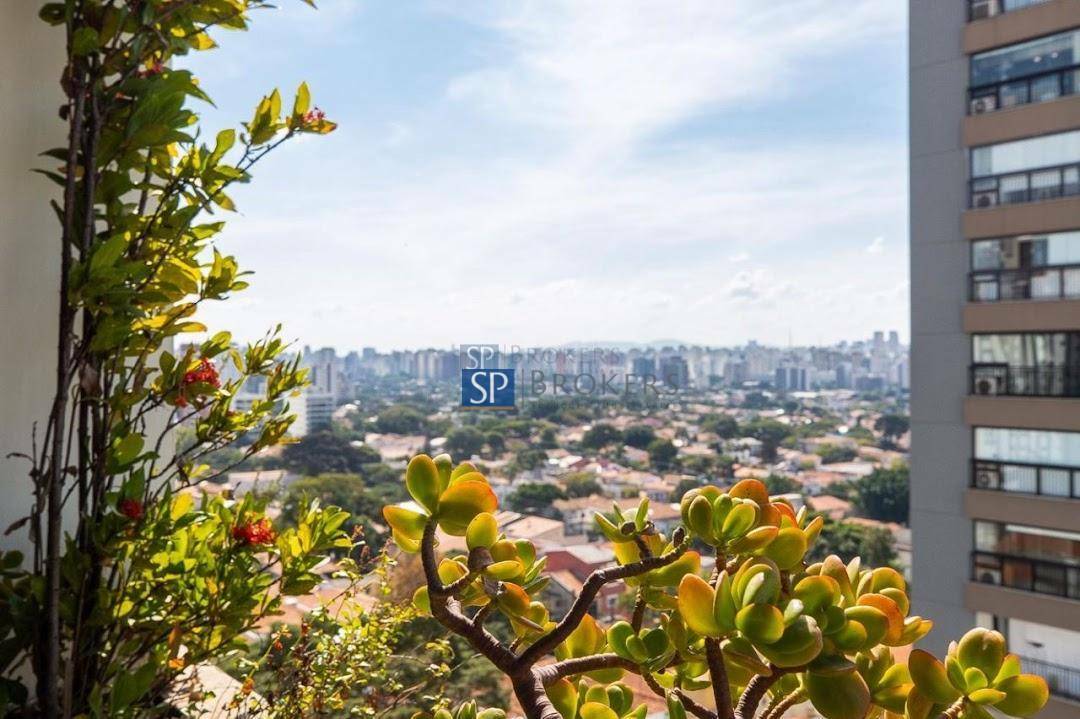 Apartamento à venda com 4 quartos, 233m² - Foto 16