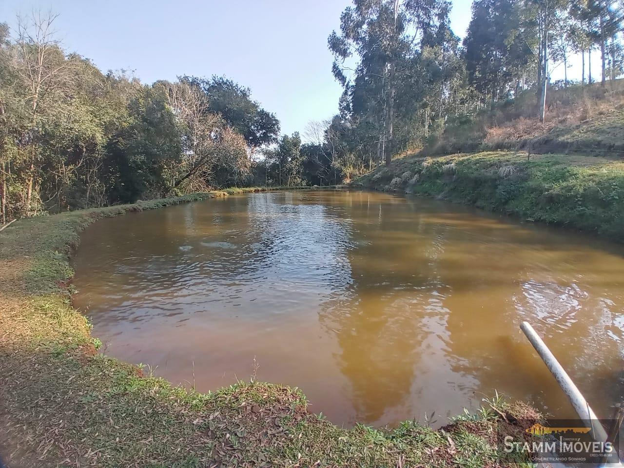 Fazenda à venda com 4 quartos, 3m² - Foto 37