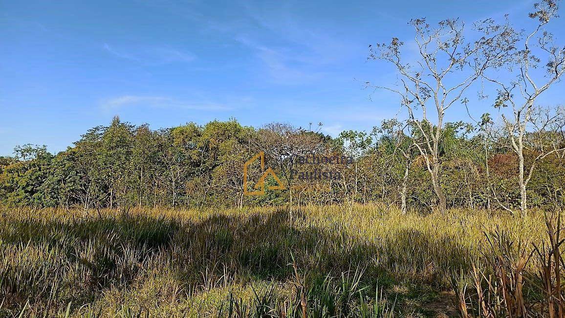 Terreno à venda, 2250M2 - Foto 6