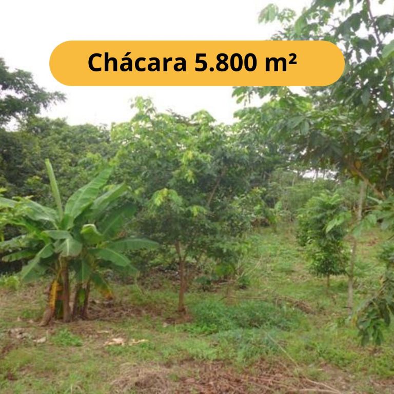 Chácara à venda com 3 quartos, 5800M2 - Foto 1