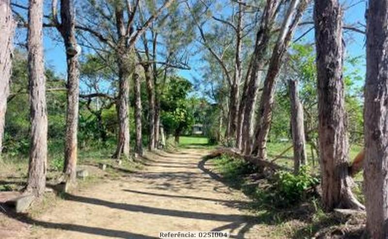 Fazenda à venda com 3 quartos, 18000m² - Foto 6