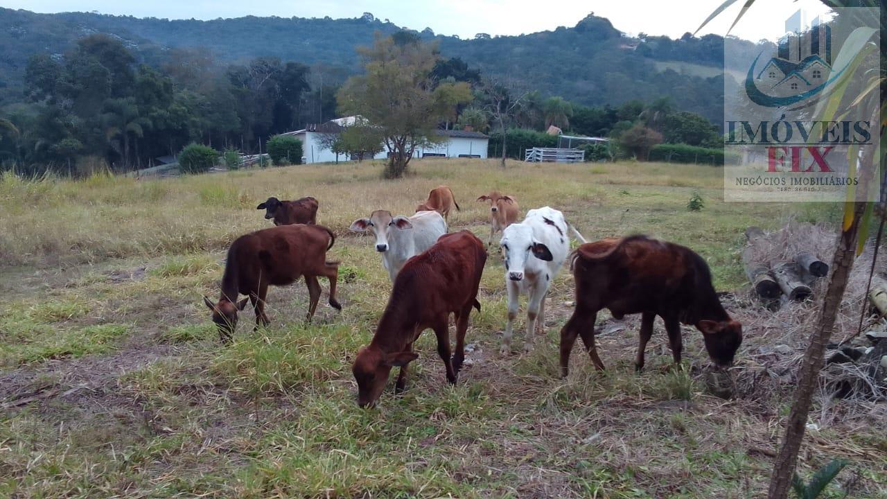 Fazenda à venda com 10 quartos, 1208m² - Foto 9