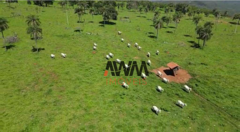 Fazenda, 823 hectares - Foto 20